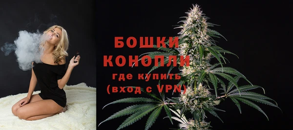 СК Арсеньев